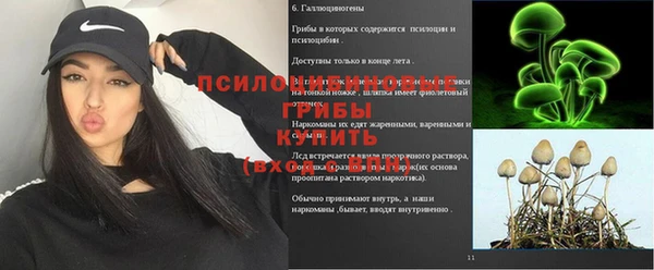 прущая мука Верхний Тагил