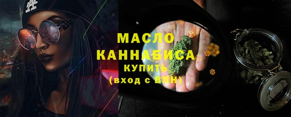 индика Карпинск