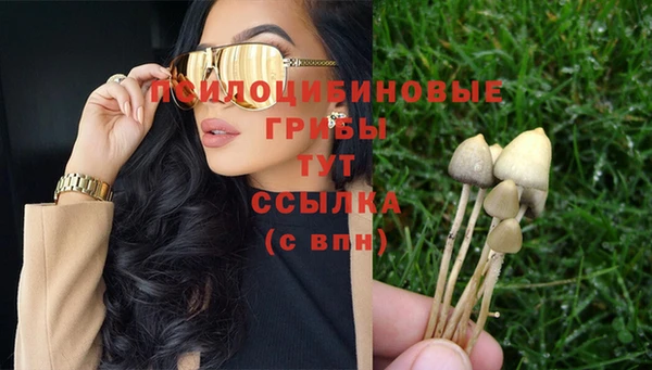 прущая мука Верхний Тагил