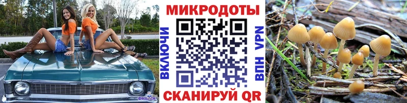 Галлюциногенные грибы GOLDEN TEACHER  Луза 